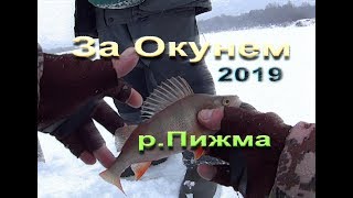 2019. За окунем.  р.Пижма