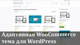 WebPoint Store — интернет магазин за час на WordPress