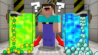 WHICH SHOWER WILL CHOOSE NOOB? DIAMOND or XP? in Minecraft Noob vs Pro