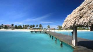 Nicone Sascha Braemer Ft Narra Caje Album Edit)