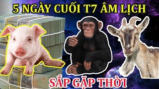 GIỚI TỬ VI HỌC RÙNG MÌNH 3 CON GIÁP ĐẠP HẾT TAI ƯƠNG, CẢI VẬN BẤT NGỜ, GIÀU SANG QUYỀN QUÝ NHẤT LÀNG