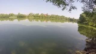 Шнурок на Pontoon 21 Cheeky 68F-SR