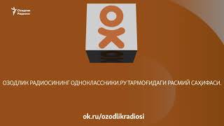 "Алп-Жамол"дан куйганлар, ҳокимлар "саваланган" видеоселектор, Мавлон Умурзоқов иши