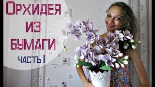 Невероятные ОРХИДЕИ из гофрированной бумаги. Часть 1