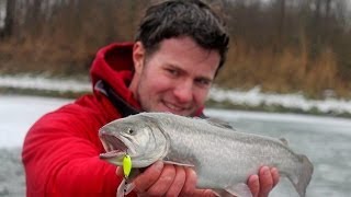 Magic Trout Eisangeln auf Forelle am Forellensee