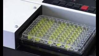 Медицина антистарения или реювенология