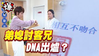 《多情大爆爆》多情城市 EP394 弟媳討客兄 DNA出爐？