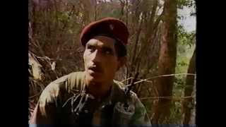 Contras Vs Sandinistas II