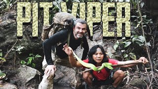 ? BERMAIN DENGAN GREEN PIT VIPER DIHUTAN ? @dede inoen