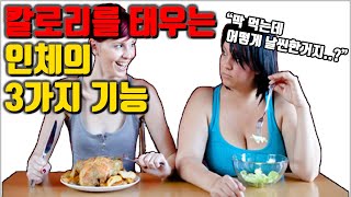 칼로리를 태우는 인체의 3가지 기능