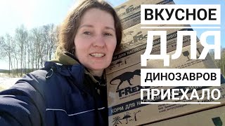 Нам привезли вкусное для сычей и ящериц! Лучик, Блинец и сплюшки довольны, а сова Ёль нет