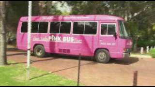 Pink Bus Tours Video