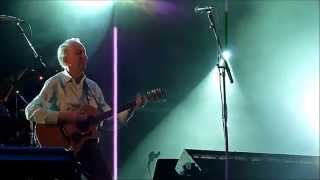 Al Stewart - Year Of The Cat (live at Cropredy 2014)