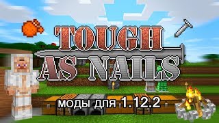 Обзор модов - TOUGH AS NAILS - ЖАЖДА И ТЕМПЕРАТУРА В МАЙНКРАФТ - обзор мода на майнкрафт моды 1.12 2