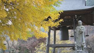 Sony Lens E18-200mm F3.5-6.3 OSS SEL18200