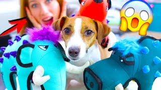 ГИГАНТСКИЕ ИГРУШКИ НАПАЛИ НА СОБАКУ - СОБАКА ИГРАЕТ | Elli Di Pets