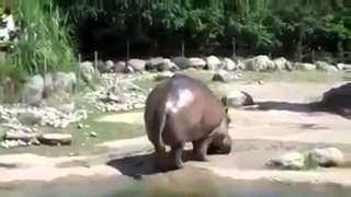 супер пердун