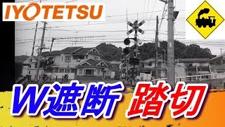 【踏切】W遮断踏切　伊予鉄道Railway crossing　Iyo line(Ehime japan)