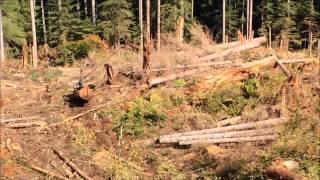 Grapple Yarder - C&C Logging