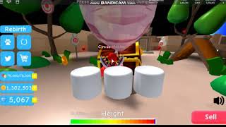 Rebirthing in Balloon Simulator | ROBLOX