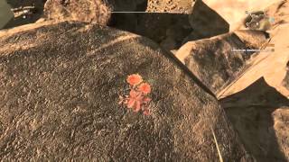Dying Light - Easter Egg EXPCalibur - AMD FX 8320,GTX 750 ti
