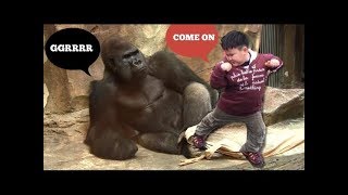 5 YEARS OLD TOUR GUIDE IN THE ZOO ( 惡搞動物園 )