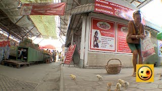 Chasing The Chicks! - Crazy TV Pranks