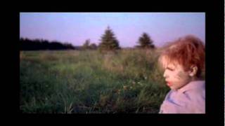 The Nature of Nicholas (Part 7 of 7) END