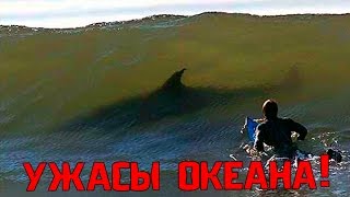 УЖАСЫ ОКЕАНА ИЛИ ОПАСНЫЙ ОТДЫХ