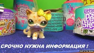 LPS: НУЖНА ВАША ПОМОЩЬ!