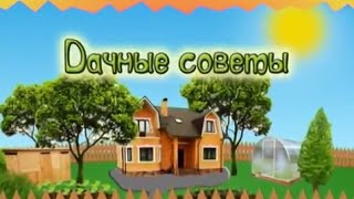 Дачные советы с Галиной Старосельцевой Апрель 2017-06