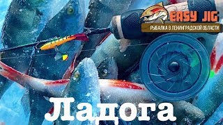 Ловля окуня на Ладоге. Блесна.Балансир.