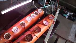 The simplest NFT hydroponics. Простейшая проточная гидропоника.