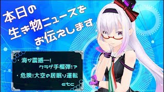 【クラゲ手榴弾】本日の生き物ニュースをお伝えします