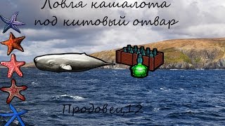Русская рыбалка 3.99 Ловля Под Китовый отвар + Звёзды