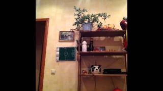 Глеб Гопарь 1 сезон 9 серия ( 1 часть )