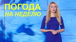 Будут ли дожди? Прогноз погоды с 5 по 11 июля 2021. Погода на неделю. Лунный календарь