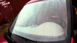 MVI_2666