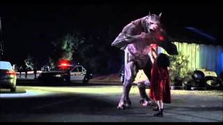 Woman Werewolf transformation and reversion