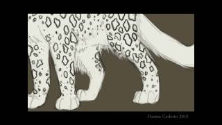 Snow Leopard - Watch me draw