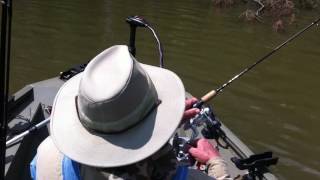 Crappie Crazy