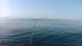 フロートボートで春のナブラ撃ち