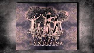Lux Divina - Fagus Sylvatica