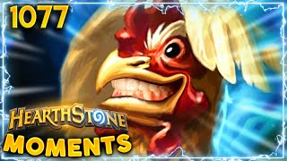 The Attack Of The GIANT CHICKEN!!! | Hearthstone Daily Moments Ep.1077
