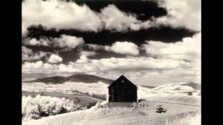 Amor De Dias - Foxes' Song