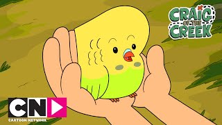 Ручей Крэйга | Мортимор-супергерой | Cartoon Network