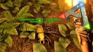 BICHOS GIGANTES DEL AVERNO | Supervivencia Prehistórica #4 | ARK: Survival Evolved [PS4]