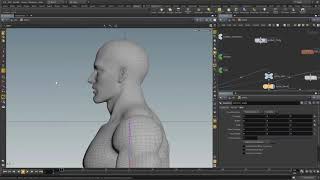 Houdini 16.5 Rigging Series - 02 - Head, Eyes, & Neck
