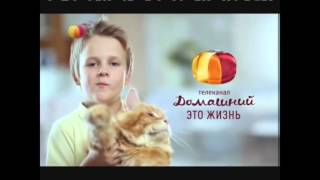 Эволюция рекламных заставок ''Домашний'' Reverse