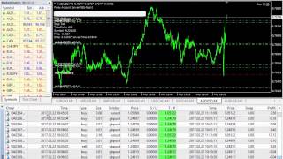 SUPER HEDGING FOREX EA- Multiple chart - Best EA Forex Robot
